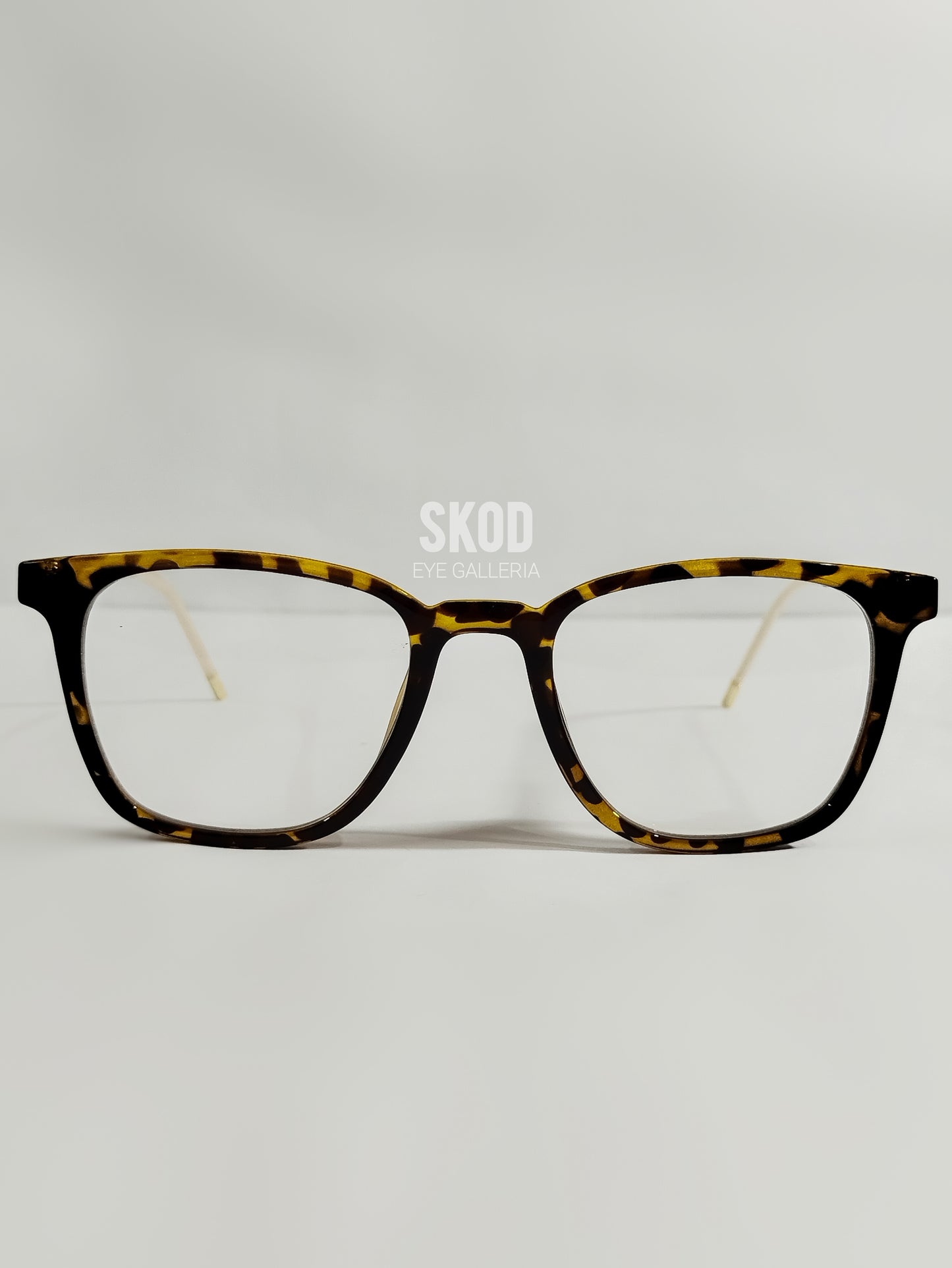 Panthom Tortoise For Her