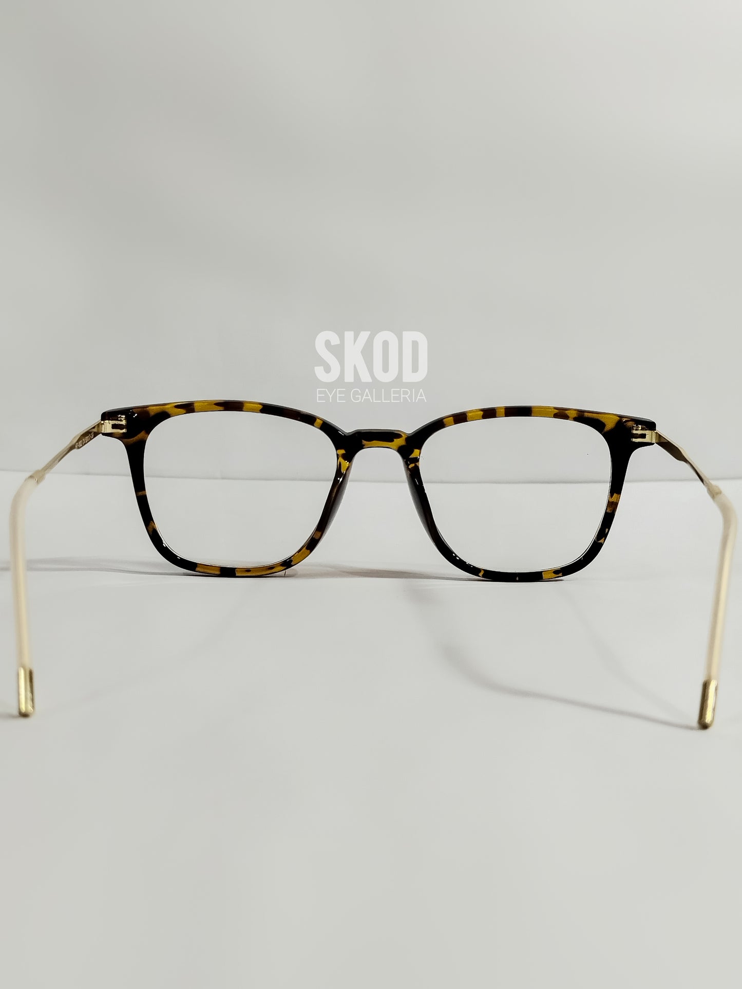 Panthom Tortoise For Her